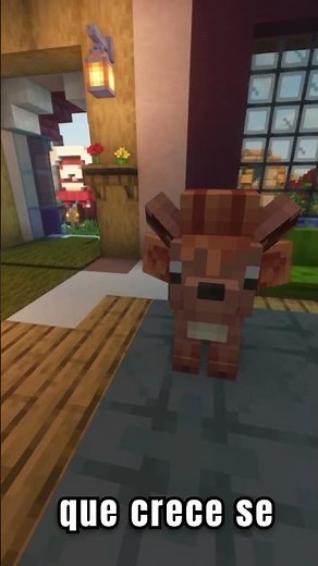 Vulpix 99% de los fans NO saben este detalle