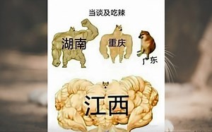 怎么没有四川呢-沙雕图第274期