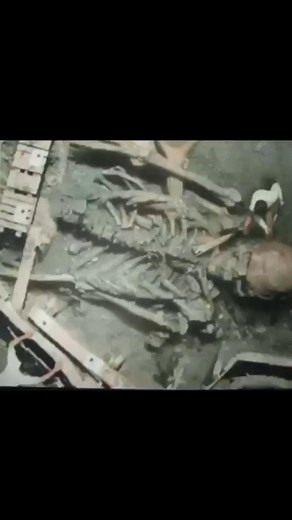 3.6K views · 57 reactions | Giant humans - they were real see thems skulls and skeletons they found in india. #UFO #ufology #ufologia #aliens #ufosighting #ufos #ufosightings #extraterrestrial #ovni #UAP #area51 #alien #aliens #mars #nasa #extraterrestres #science #space #scifi #curiosity #ufovideo #ufosky #ufoball #aliens #ufosighting #ufoalien #ufocommunity #realufos #reelsfb #reels2023 #reelsviral #reelsvideo #viral2023 #viral #fb. | Extra Alien | Facebook