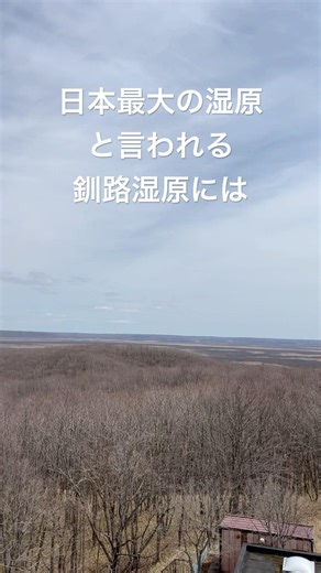 日本最大の湿原、釧路湿原は壮大な大自然を感じることができる #旅行 #日本一周 #観光 #北海道 #景色 #大自然