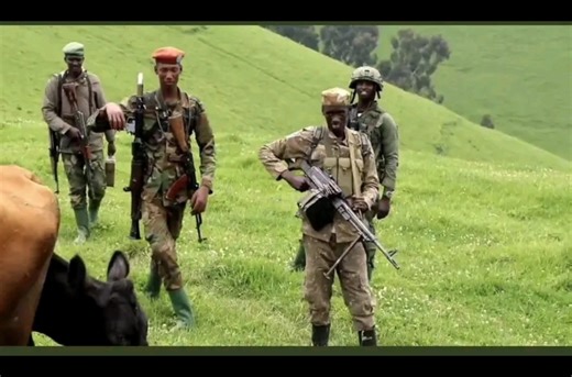 #Guerre en #RDCongo Ugucanamwo hagati ya #M23 na #RDF Kuva ejo kuwa mbere isaha zitatu z'ijoro, hariya i #Kamanyola, abasirikare bavuye #Uvira ba M23 basubiranyemwo, bariko bararasana kandi bikomeye. Abarokotse mu menyo yaba #Hiboux ba FARDC bariko bagwa imbere ya benewabo. Amakuru adushikira, yemeza ko abo bavukanyi bariko bapfa ivyabereye Uvira. Uruhande rumwe ruti: Intwazangabo zacu zaguye mu gitero ca drone kukivuko ca kalundu kubera mutateguye akarere neza. Mwashatse kutwica. Abandi bati na