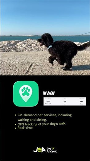 Top 5 Dog Training Apps