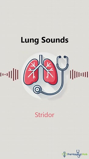 Lung Sounds: Understanding Stridor