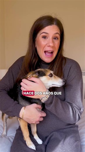 Calcula ahora tu alarma con cerradura inteligente para proteger tu hogar.