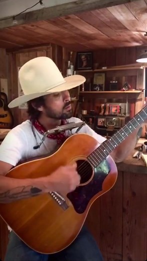 Wild Horses Acoustic Covers and Versions