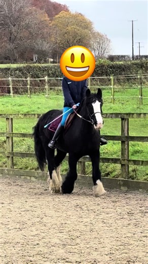 Finally an intro video… I’ve seen a lot of these kinds of videos and never made one myself so here’s one for this account!! (I’m sorry if it’s rubbish, I’m very new to speaking on camera and posting this at 3am isn’t the best idea 😌✌️💔) Tags: #horseriding🐴 #horseridinglessons #ridinglessons🐎 #fyp #vira