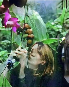 13K views · 1.9K reactions | Floating On A Moment, directed by Tony Oursler. Watch now. https://www.instagram.com/tonyoursler/ https://bethgibbons.ffm.to/floatingonamoment | Beth Gibbons | Facebook