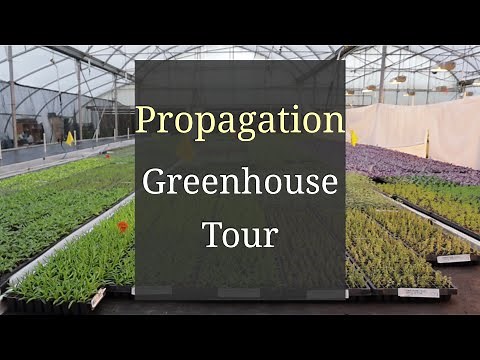 Propagation Greenhouse Tour