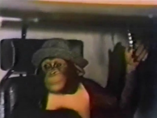 B.J. And The Bear - 101 - Odyssey Of The Shady Truth [48:03] [1979-1981] NBC | InfiniteCoolness.com