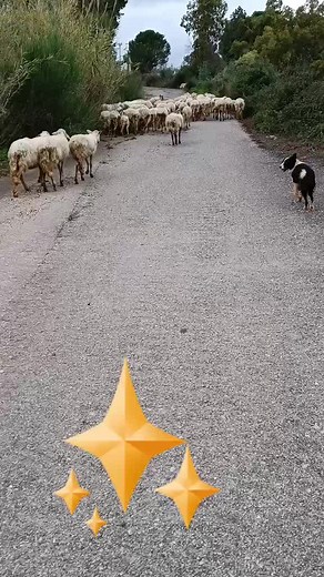 Video di Liberio (@li.be.rioo) con suono originale - @ADR_eventi