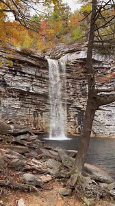 1.7K views | Wendy Me on Reels | Facebook