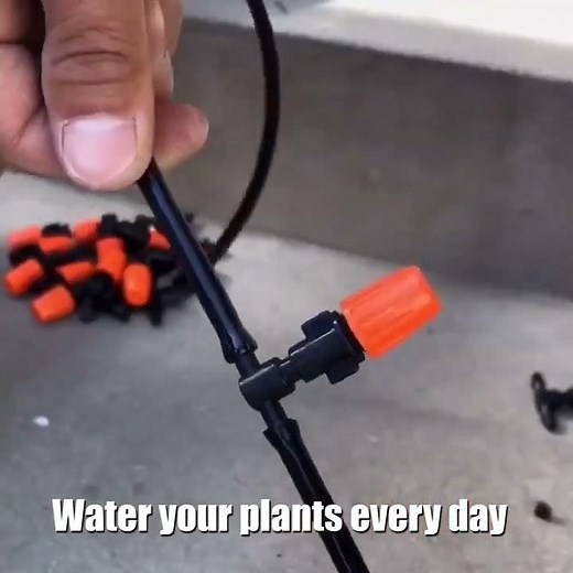 Single Head Atomization Nozzle Misting Fogger Sprinkler for Vegetables, Nursery, Garden Irrigation.