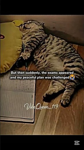 Exams in ramadan😭 #asethicedits #funny #exams #ramzan