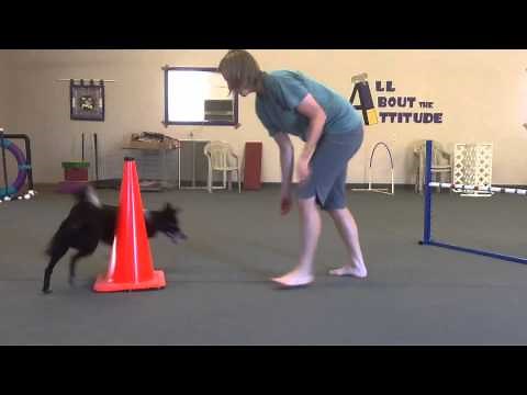 Teaching Left And Right To Your Agility Dog
