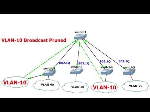 What does the Cisco vtp pruning command do?