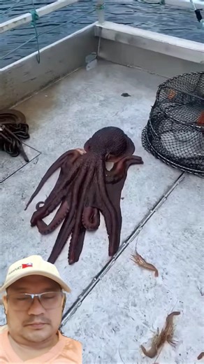 Octopus trying to escape 🤒 #fishing