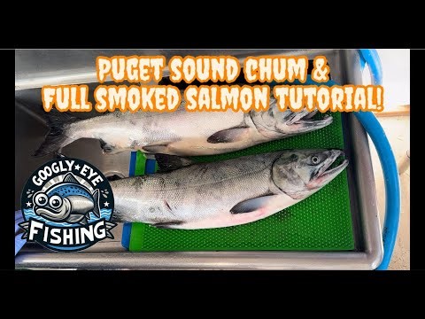 Puget Sound Chum & Full Smoked Salmon Tutorial!