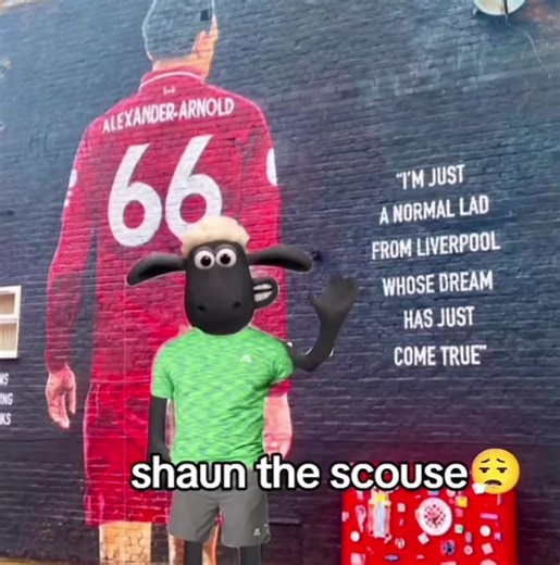 Meet Shaun the Scouser: A Liverpool Character