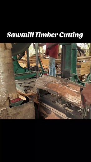 Big Log Veneer Peeling Tree cutting sawmill #woodworking #chain #treecuttining #chainsaw #usa #unfreezemyaccount