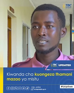5.7K views · 45 reactions | Katika Kipindi cha Tanzania ya Kijani wiki hii tutaangazia mafunzo yanayotoa fursa za ajira kwa vijana kwenye sekta ya misitu. Ni Jumamosi saa 12:30 jioni. | TBConline | Facebook