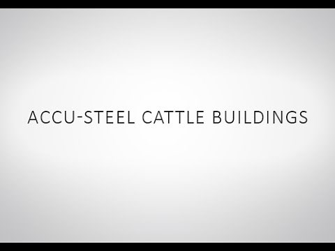 Cattle Buildings | Accu-Steel