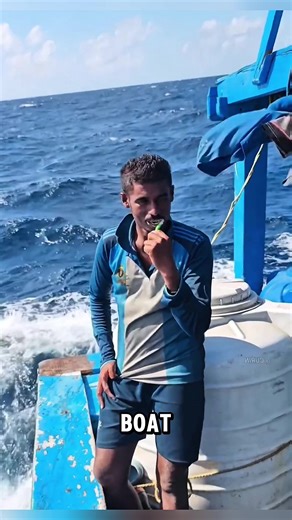 The Struggles of Real Sea Workers: Life on a Fishing Boat