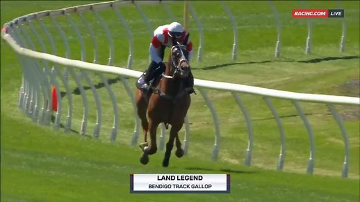Group 1 winner & Melbourne Cup contender, Land Legend, had an exhibition gallop in front of a huge crowd at Bendigo today ☀️ | Racing.com