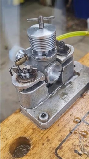 Taipan Tyro schnuerle port 1st pop run