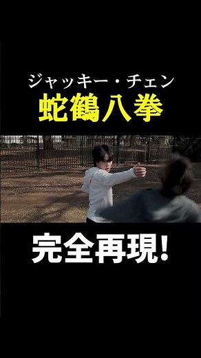 【ジャッキー・チェン】蛇鶴八拳 アクションシーン完全再現 Snake And Crane Arts Of Shaolin REMAKE【Jackie Chan】#shorts #kungfu