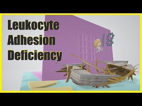 Leukocyte Adhesion Deficiency (Mnemonic for the USMLE)