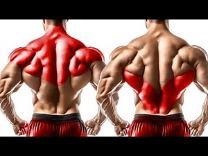 Top Back Building Exercises for Bigger Back Muscles Growth
