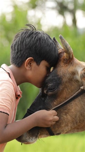 Instagram video by Gomathe Rastradhrma ಗೋಮಾತೆ ರಾಷ್ಟ್ರಧರ್ಮ • Feb 4, 2026 at 7:44 AM