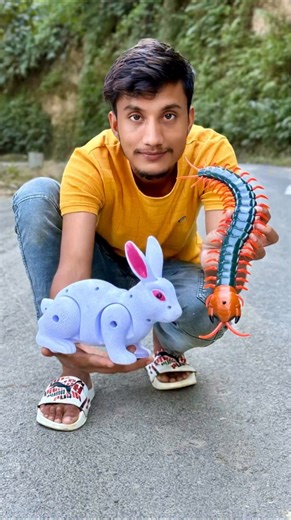 Badrul Shorts on Instagram: "RC CENTIPEDE VS REMOTE CONTROL RABBIT AUR SNAKE VIDEO #rcsnake #toysanimals #satisfying #unboxing #shorts #centipede #rabbit #toys"
