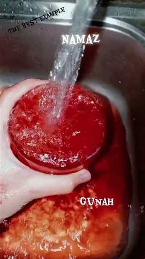 The best example.....#example #explore #exercise #best #namaz #gunah.......