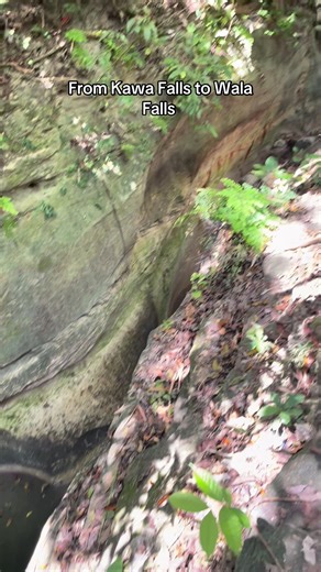 Discovering Kawa Falls: A Seasonal Waterfall Adventure