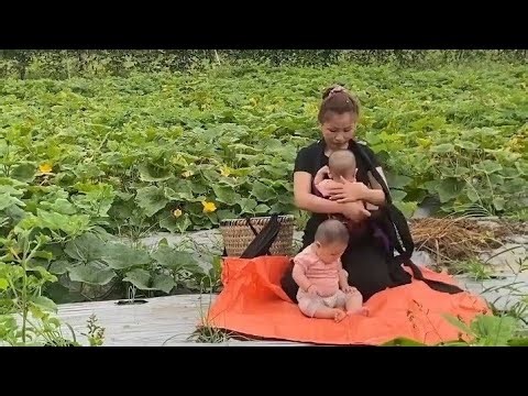Single Mother Working in the Fields While Caring for Her Two Babies