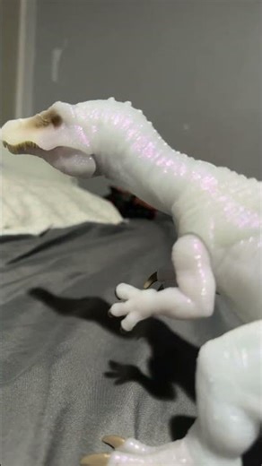 Carl did something that he is not supposed to do #Funny #Meme #InternetMeme #Dead #UnexpectedThings