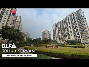 Best Ready-to-Move DLF Project Under ₹2.5 Cr | 3 BHK + Servant | Sector 91 Gurgaon | Code 037