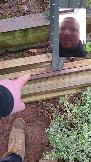 Feather edge fencing with Galv metal posts. #howto #fencing #toptip #theggjourney #Landscapers | Golding's Gardeners Fencing &Timber