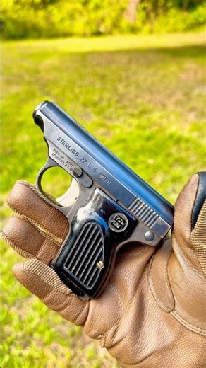 Mama’s little .22 Auto