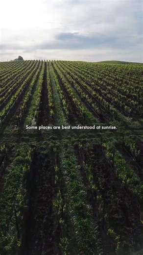 Sonoma Wineries at Sunrise — California Wine Country Like You've Never Seen It