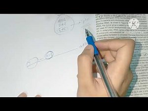 Protein synthesis /Steps in Translation/Biochemistry
