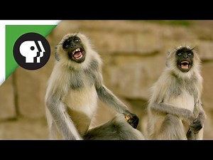 "Spy in the Wild" Blooper Reel