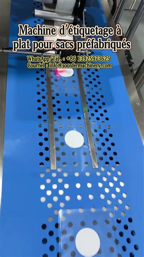 Machine d'étiquetage à plat pour sacs préfabriqués#labelingmachine #packagingmachine #machine