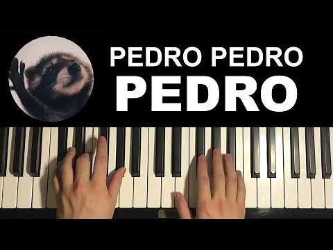 How To Play - Pedro Pedro Pedro Racoon Meme Song (Piano Tutorial Lesson)
