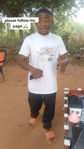 Creative Cartoon House Design Showcase