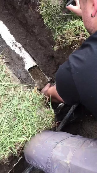 #drainpro #longrootlife #blockeddrain #tiktokfamous #draincleaning #fypシ #longroot