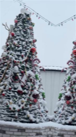 We’re OPEN, amigos! The snow may be falling, but Fiesta is warm, cozy, and ready to serve you. ❄️🔥 Our team made it in safely and we’re excited to share our brand-new Holiday Fiesta Menu, including the delicious Santa Quesadilla you’ll see in the video below. 🎅🌯 Drive safe, stay warm — we’ll take care of the rest. ❤️ | Fiesta Mexican Restaurant