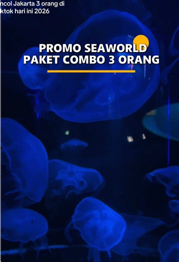 SeaWorld promo 2026! Datang bertiga, harganya makin murah! Lagi ada promo SeaWorld Ancol 2026 khusus pembelian lewat TikTok. Periode Januari – 12 Februari, paket ber 3 cuma 78 ribuan/orang 😍 Lebih hemat dibanding beli langsung di lokasi. Cocok buat liburan keluarga, lihat akuarium raksasa, terowongan bawah laut, dan edukasi biota laut seru. Beli tiket SeaWorld online biar tanpa antre dan lebih praktis. DISCLAIMER Harga dan diskon sewaktu-waktu dapat berubah. 👉 Klik tag lokasi, pilih paket comb
