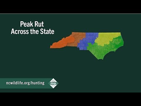 NC Wildlife: Peak of the Rut Across North Carolina